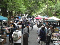 神社さんの参道 木立の中に並ぶフリーマーケット！