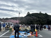 小笠山総合運動公園エコパスタジアムP3駐車場で行われるフリーマーケットです。