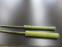 親子で竹を使って水鉄砲を作って遊んでみませんか。