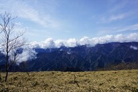 シロヤシオを見ながら安倍川東岸山稜で爽やかウオーキング！！　初心者でも日本山岳会会員がサポートします。