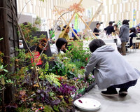 沼津市最大の花と緑の祭典