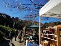 自然豊かな浜松城公園で、樹々と鳩、野鳥などを観ながら、買物をお楽しみください。