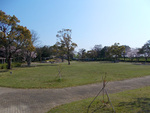 芝生広場（公園の中央スペースは遊びやすい芝生の広場）
