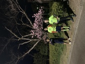 城北公園