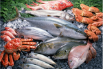 駿河湾でとれた鮮魚や、旬な豊富な料理をご用意しております。