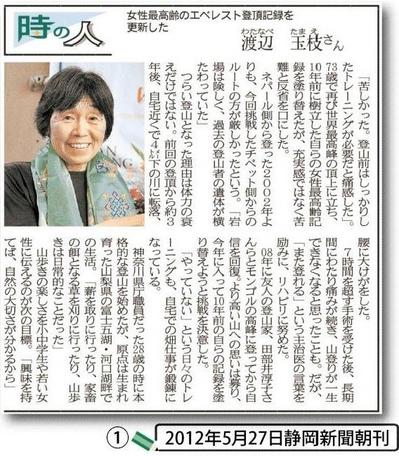 20130120図1.JPG