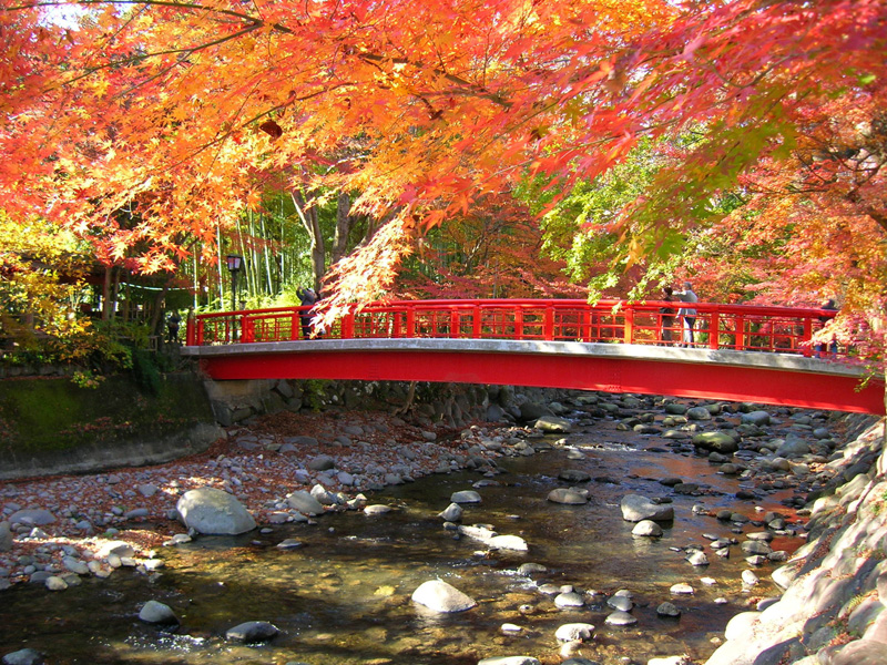 温泉街