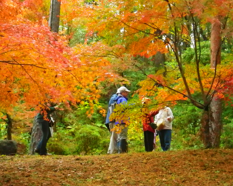 静岡県立森林公園