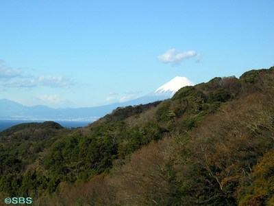 fujisan.jpg