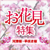 お花見