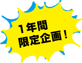 1年間限定企画!