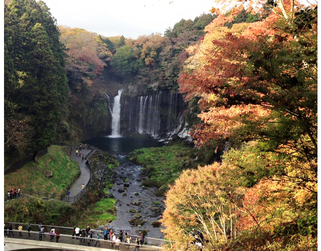 白糸の滝の紅葉 富士宮市 アットエス