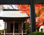 葛城神社