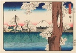 【Part1展示】歌川広重『不二三十六景 武蔵小金井堤』当館蔵