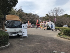 浜松城　さくら