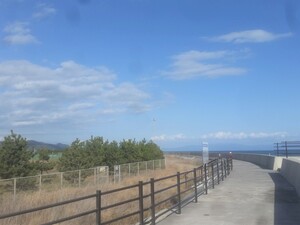 海沿いの太平洋岸自転車道路は景色が最高！