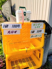 安くて新鮮な野菜をゲットできるかも？