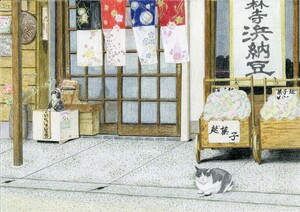 タイトル：蕎麦屋の猫（トミー）・『乃木そば神谷』さんの看板猫トミーくん