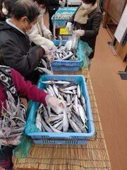 サバのコーナー。たくさんの種類の魚を入れてもOKです。