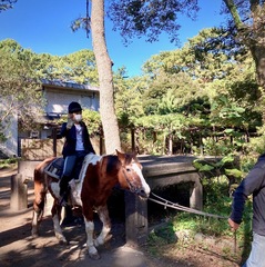 乗馬体験②