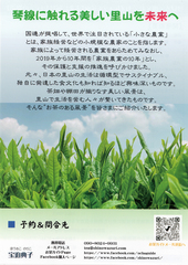 イベントちらし表