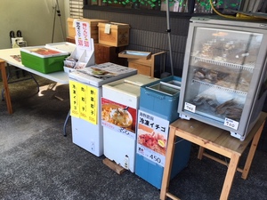 餃子、冷凍イチゴ、自家製ベーコンなど、静岡のおいしい食べものを用意しております