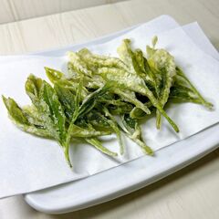 当日手摘みして頂いたお茶は天ぷらで召し上がって頂きます。