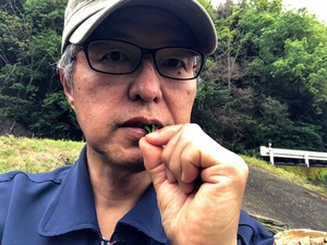 農薬・化学肥料を使用せず、有機肥料を100%使用して 自然環境に優しいお茶は、安心・安全