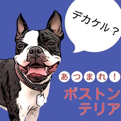 ボストンテリアオフ会