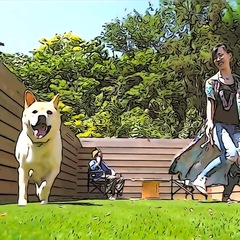 プライベートドッグランimage1