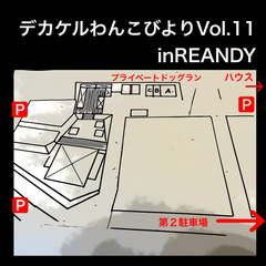 REANDY