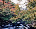 滑沢渓谷周辺の紅葉