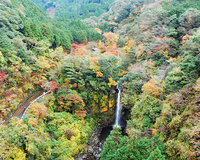 須津川（すどがわ）は愛鷹（あしたか）山系随一の美しい渓谷、つり橋を渡ると紅葉の世界へ
