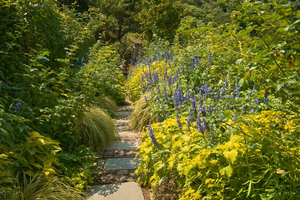 秋のイングリッシュローズガーデン