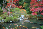 修禅寺の庭園
