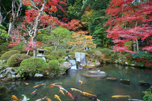 修禅寺の庭園