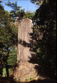 もみじ林にある夏目漱石の碑