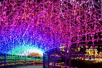 夜空に輝くイルミネーション