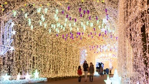 フルーツトンネル