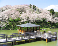 ＜ソメイヨシノ、しだれ桜、山桜など約800本＞　毎年大勢の花見客でにぎわう花見スポット　【ライトアップ】【公園】