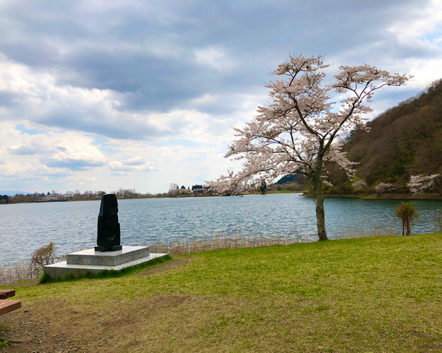 田貫湖の桜 富士宮市 アットエス