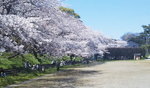 過去の様子