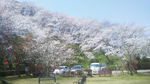 過去の様子