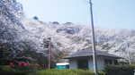 過去の様子