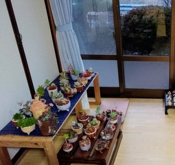 前回の展示会の風景です