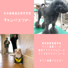 春のキャンパスツアー中央動物総合専門学校