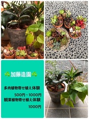 加藤造園　500円〜