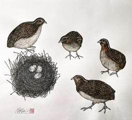「 whose egg is this? 」 