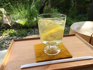 自家製レモンスカッシュ