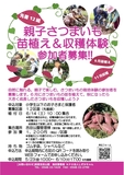 親子さつまいも苗植え＆収穫体験の参加者募集【先着12組】